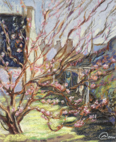 (Sold)