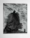   :  II (sold)