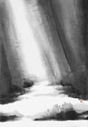   :   VII