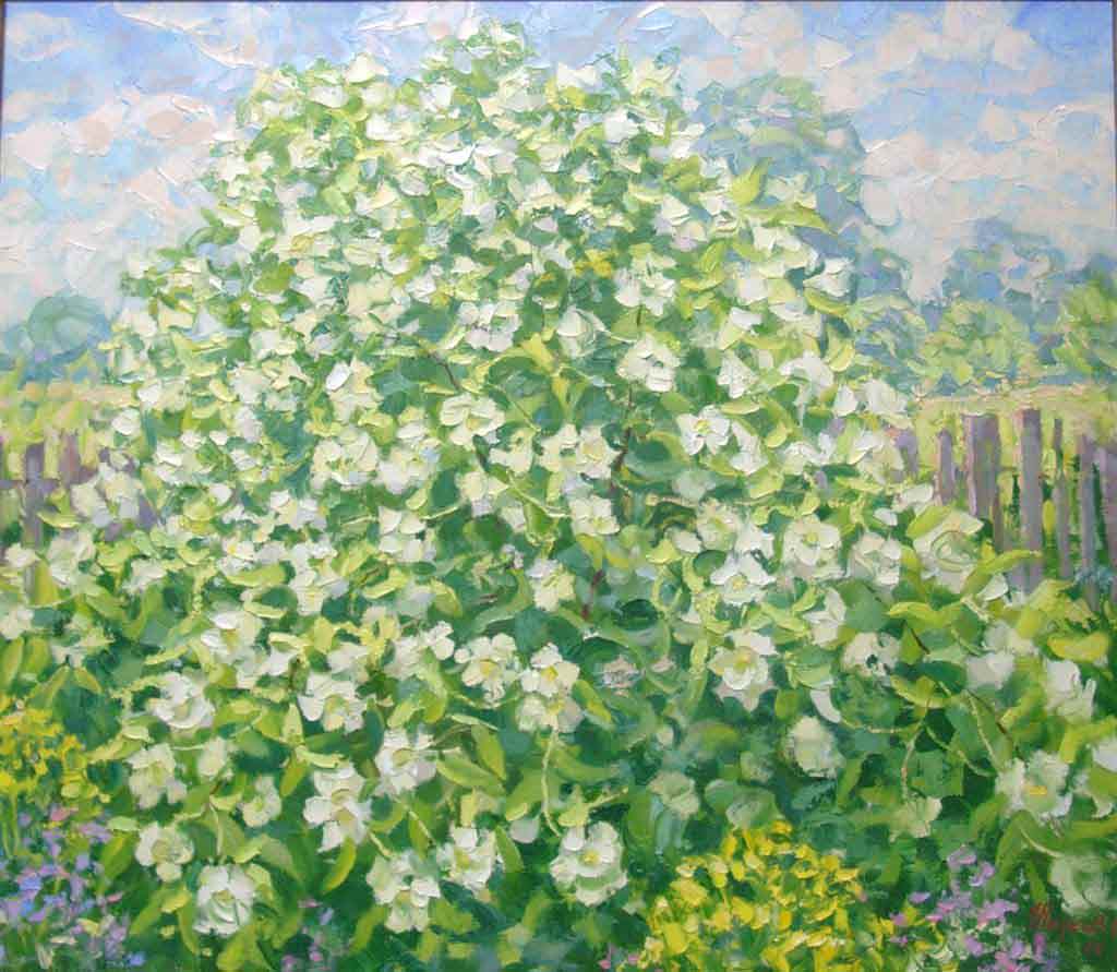 ���� ������� 