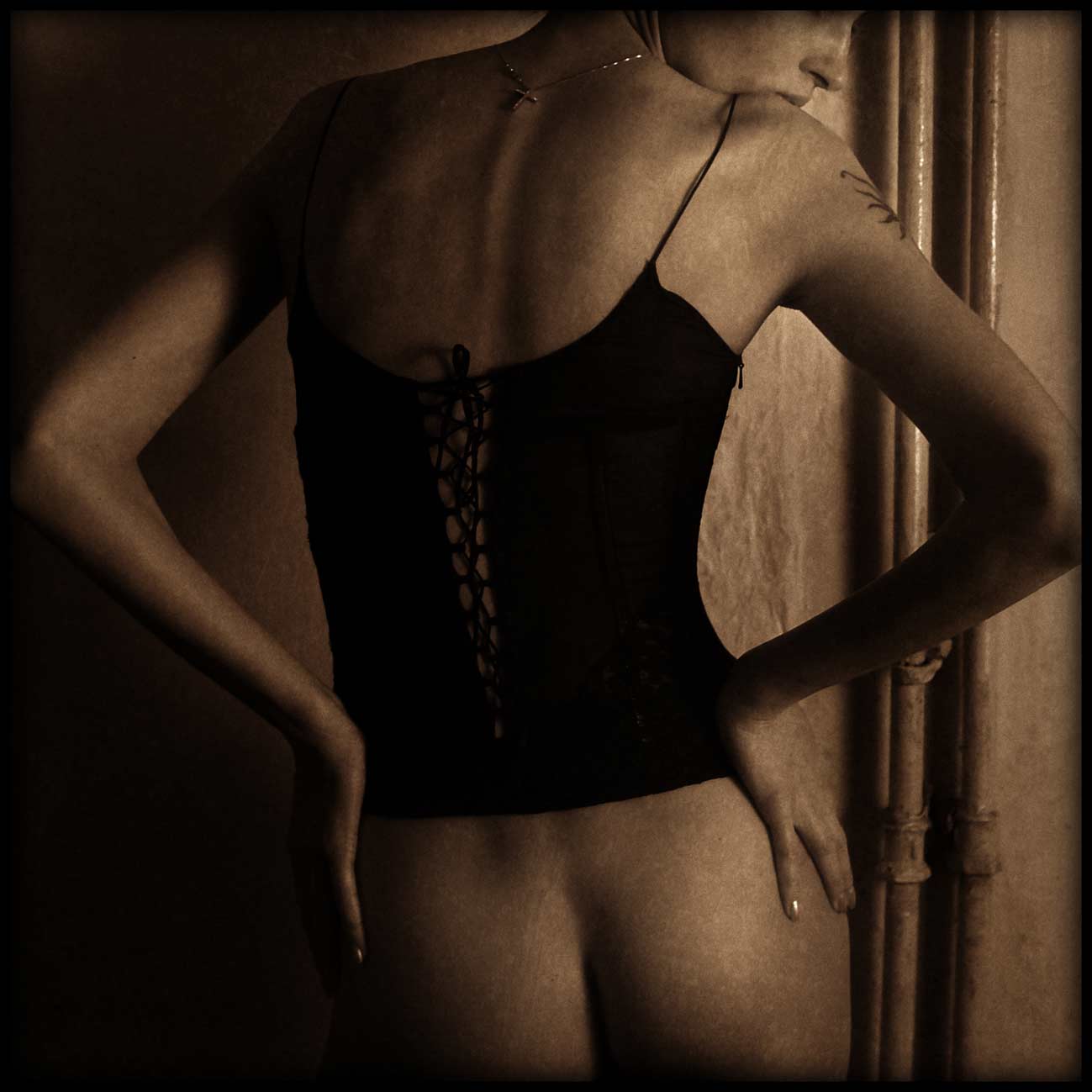   "torso"-1