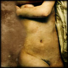   :   "TORSO"-5